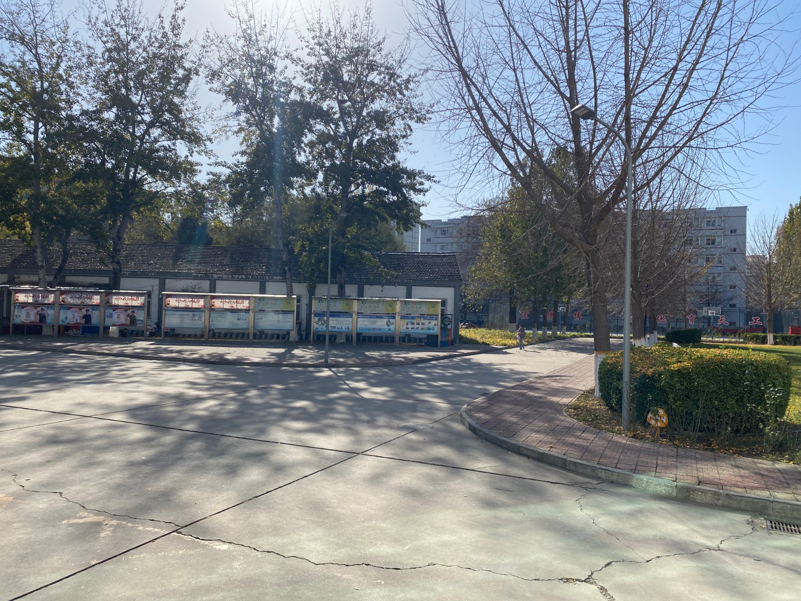 北京化工大学校园风景1